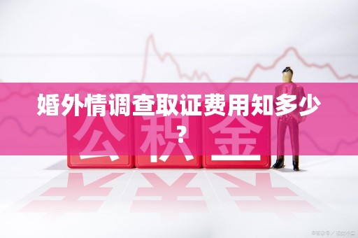 邵武婚外情调查取证费用知多少？