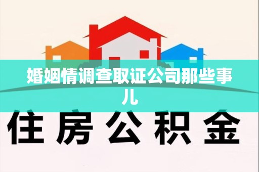 邵武婚姻情调查取证公司那些事儿