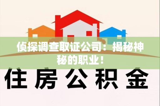 邵武侦探调查取证公司：揭秘神秘的职业！
