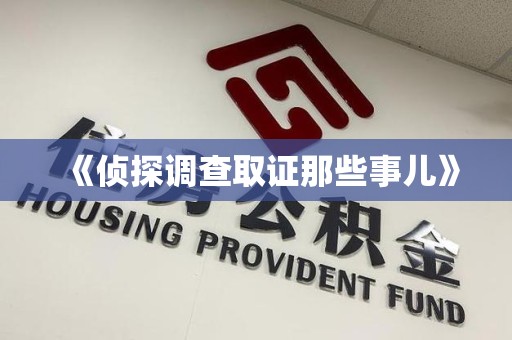 邵武《侦探调查取证那些事儿》
