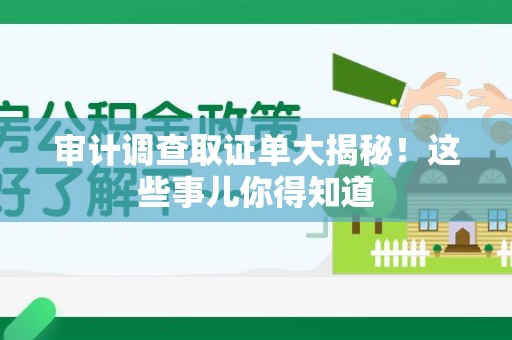 邵武审计调查取证单大揭秘！这些事儿你得知道