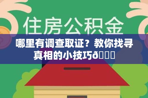 邵武哪里有调查取证？教你找寻真相的小技巧😎
