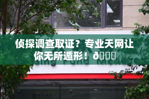邵武侦探调查取证？专业天网让你无所遁形！😎