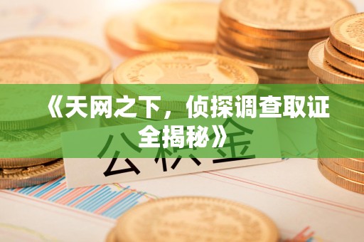 邵武《天网之下，侦探调查取证全揭秘》