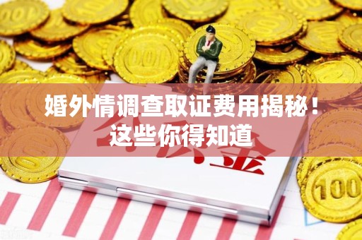 邵武婚外情调查取证费用揭秘！这些你得知道