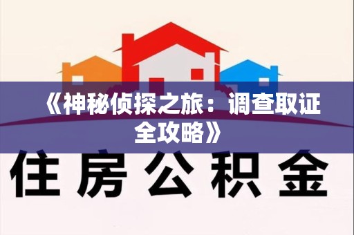 邵武《神秘侦探之旅：调查取证全攻略》