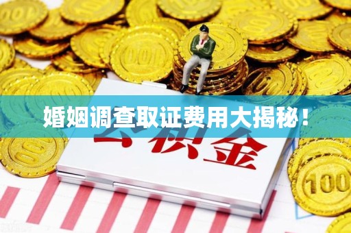 邵武婚姻调查取证费用大揭秘！