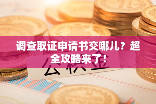 邵武调查取证申请书交哪儿？超全攻略来了！