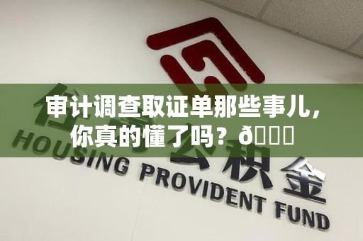 邵武审计调查取证单那些事儿，你真的懂了吗？😎
